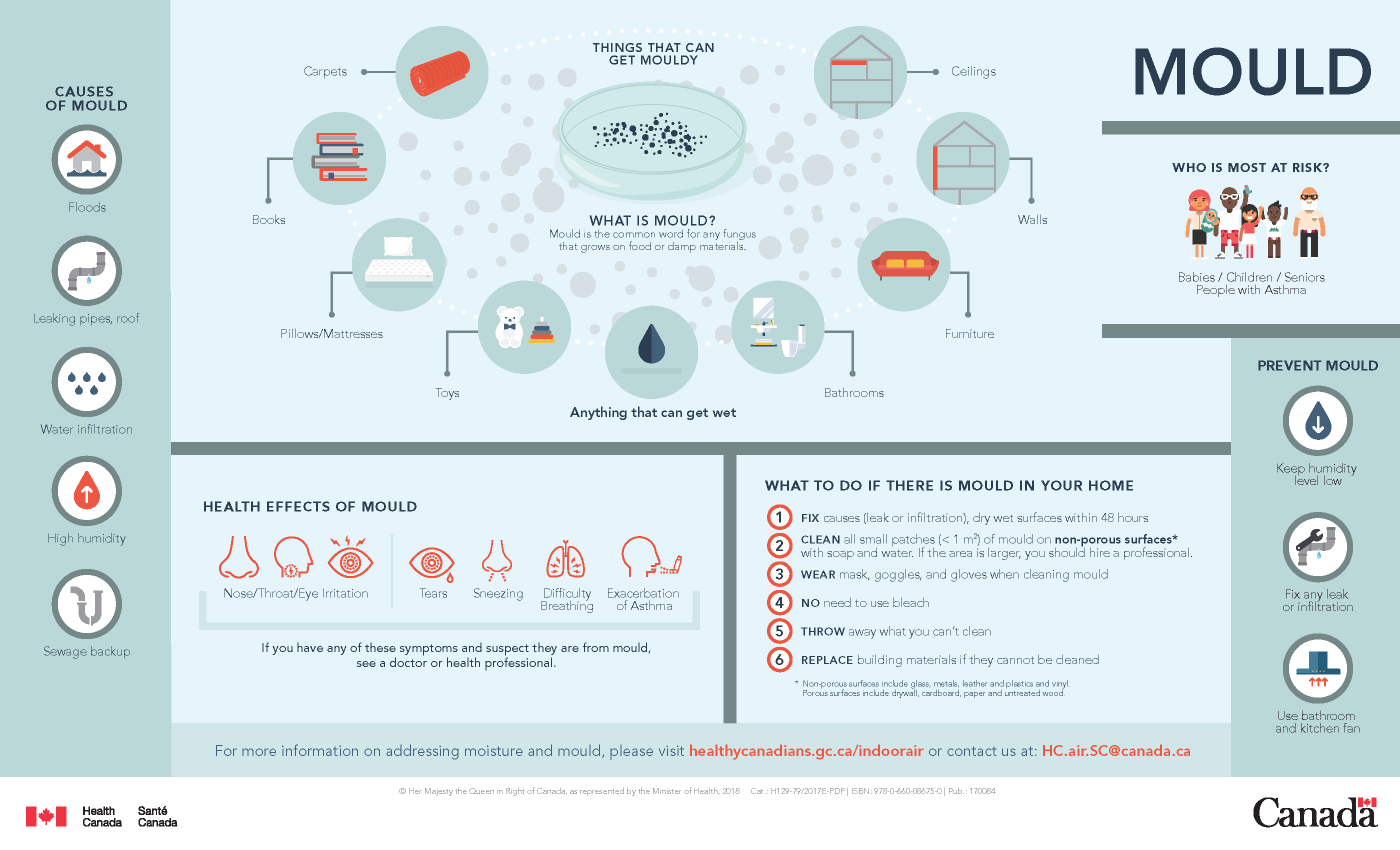 https://www.canada.ca/content/dam/hc-sc/documents/services/publications/healthy-living/infographic-mould/Mould%20-%20Moisissure.pdf